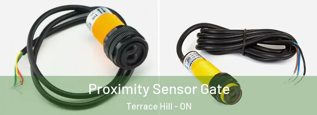  Proximity Sensor Gate Terrace Hill - ON