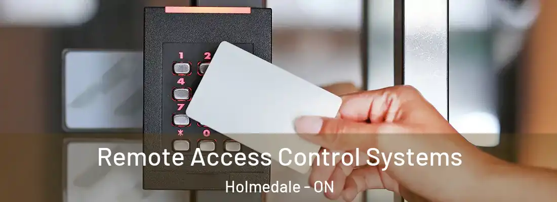 Remote Access Control Systems Holmedale - ON