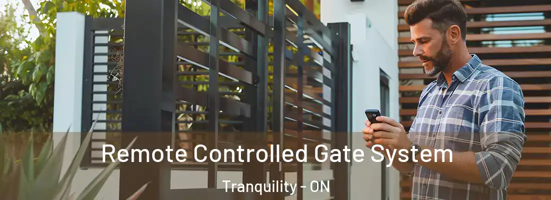 Remote Controlled Gate System Tranquility - ON