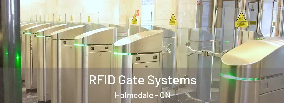  RFID Gate Systems Holmedale - ON