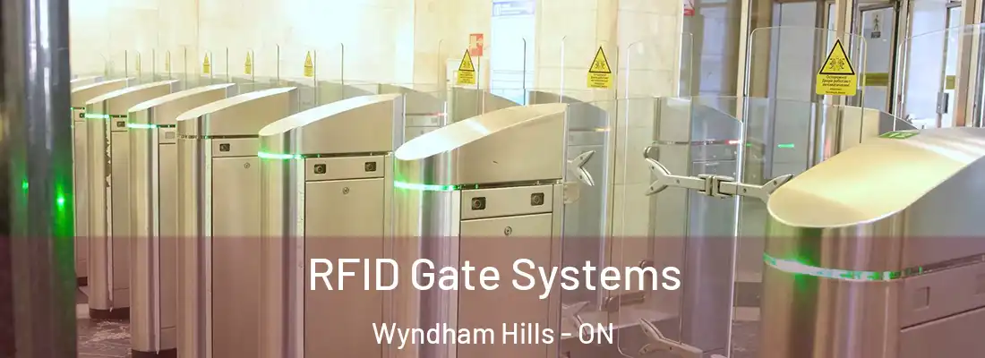  RFID Gate Systems Wyndham Hills - ON