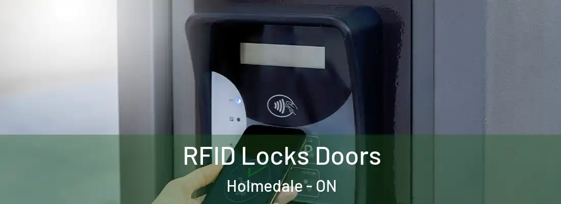 RFID Locks Doors Holmedale - ON