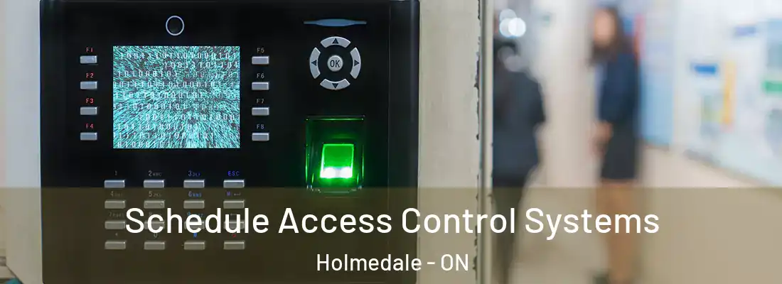 Schedule Access Control Systems Holmedale - ON