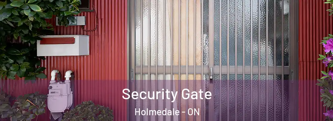 Security Gate Holmedale - ON