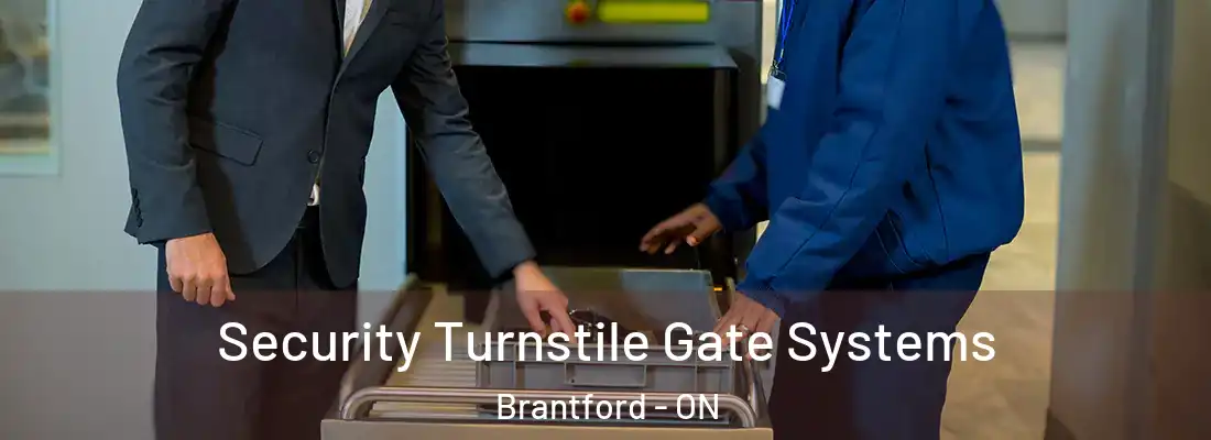 Security Turnstile Gate Systems Brantford - ON