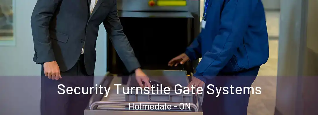  Security Turnstile Gate Systems Holmedale - ON