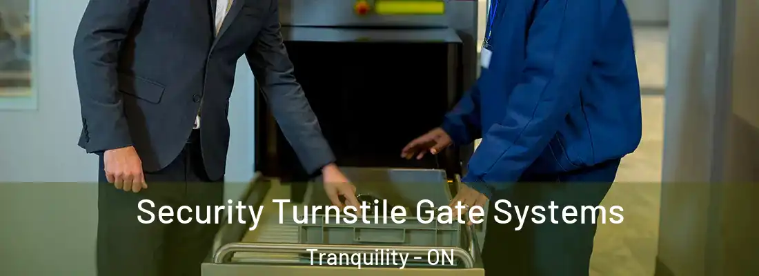  Security Turnstile Gate Systems Tranquility - ON