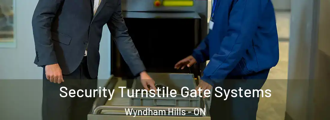  Security Turnstile Gate Systems Wyndham Hills - ON