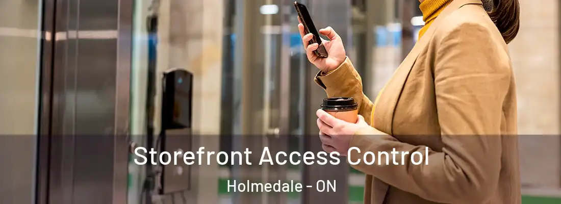 Storefront Access Control Holmedale - ON