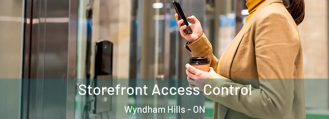 Storefront Access Control Wyndham Hills - ON