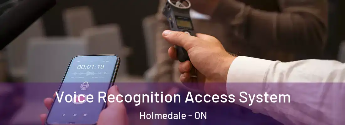  Voice Recognition Access System Holmedale - ON