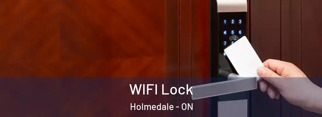  WIFI Lock Holmedale - ON